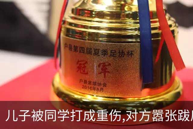儿子被同学打成重伤,对方嚣张跋扈宣称随便告,我拨通了岳父的电话