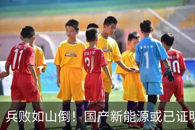 兵败如山倒！国产新能源或已证明：中国根本不需要二线豪华品牌