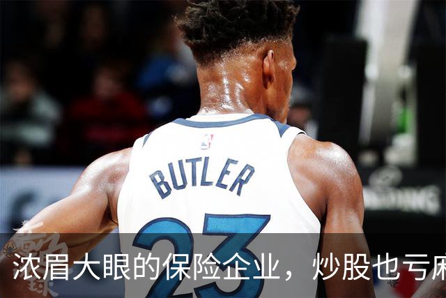 浓眉大眼的保险企业，炒股也亏麻了